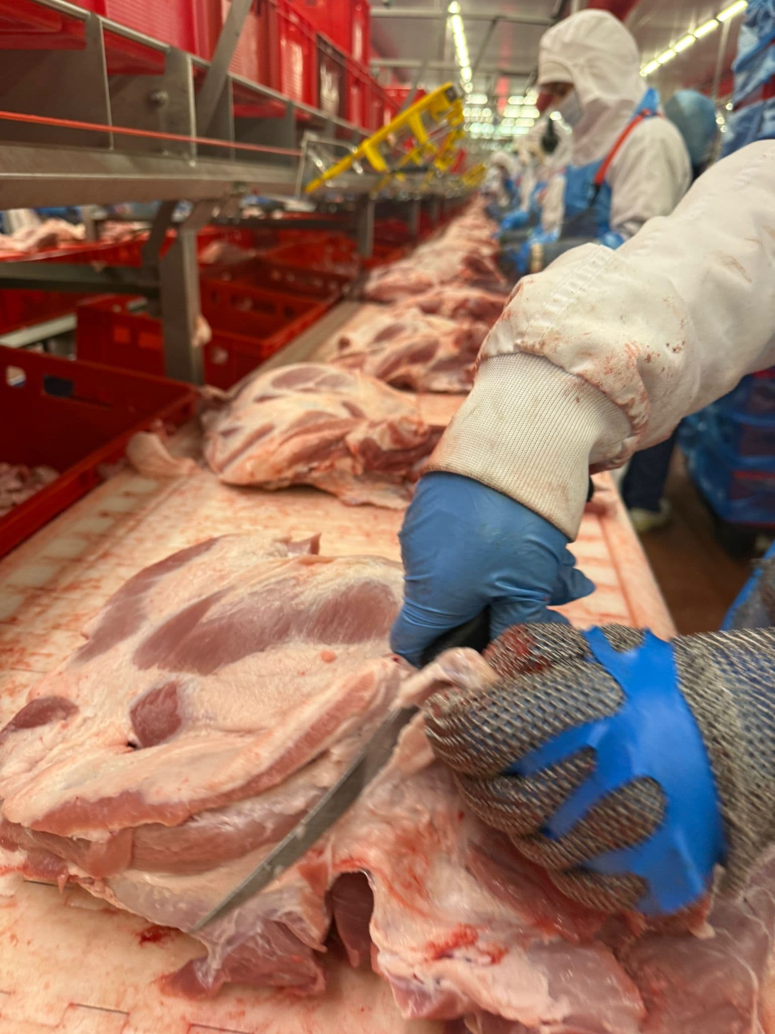 Desossa de Porco Especializada