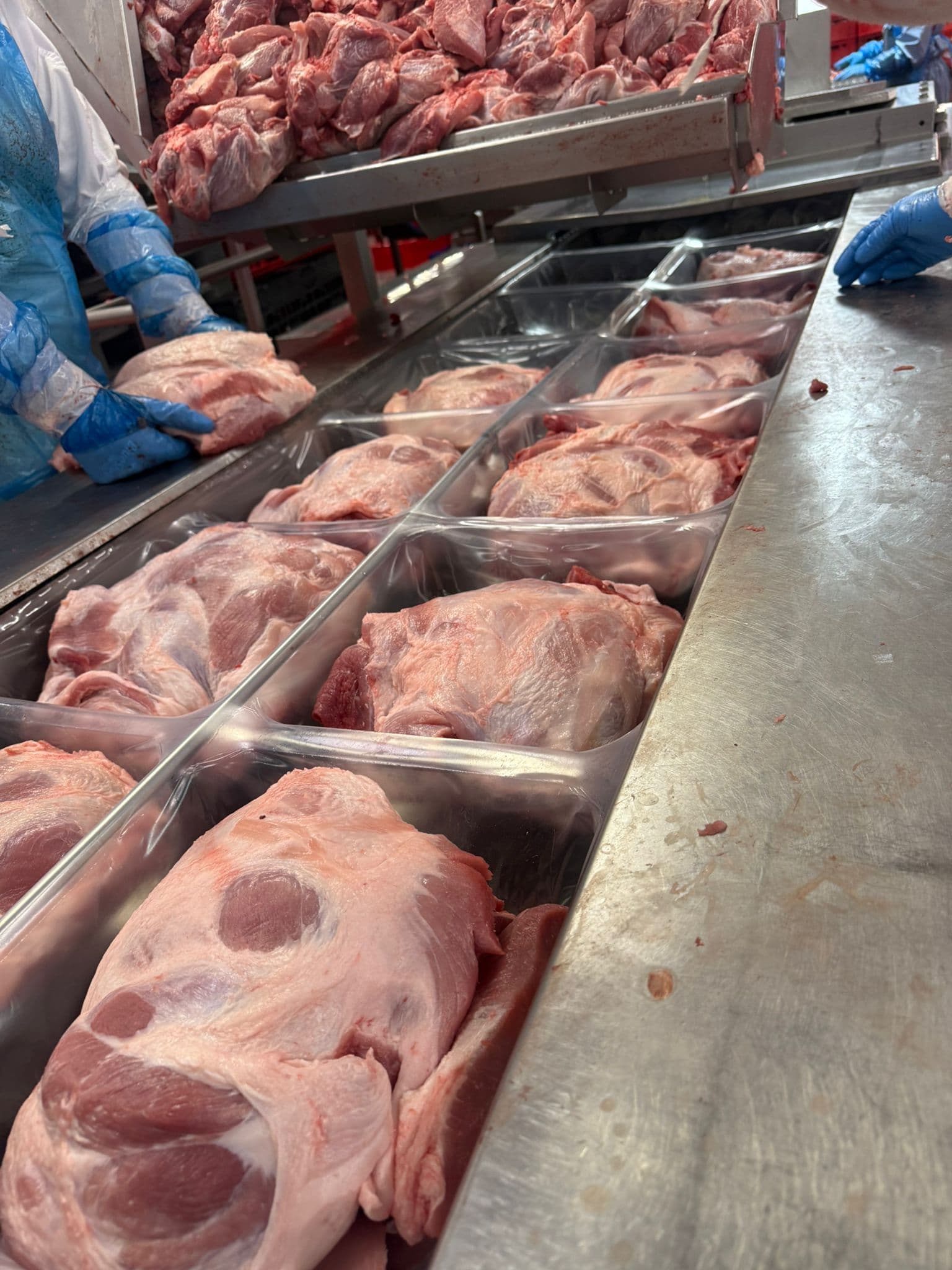 Suporte em Linha de Produção