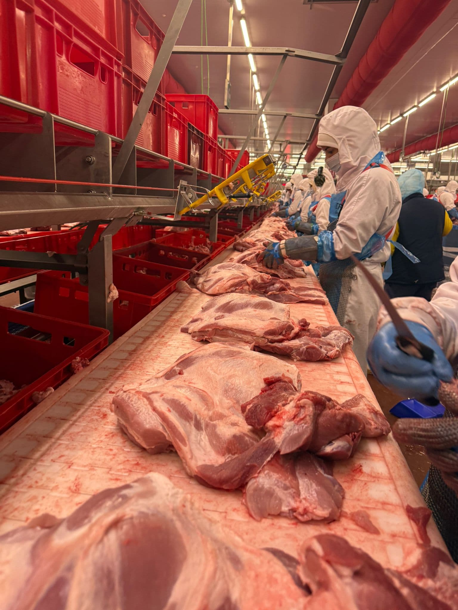 Pessoal Especializado